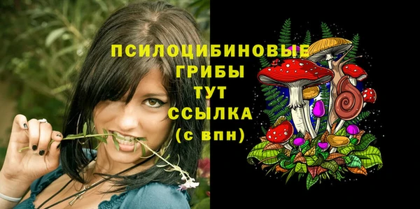 mdpv Магадан