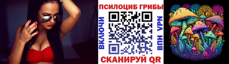 Купить  Якутск  Псилоцибиновые грибы Psilocybine cubensis 